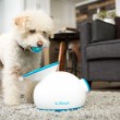 iFetch - The Automatic Ball Launcher Dog Toy 